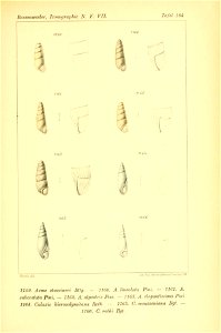 n466_w1150