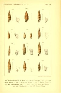 n406_w1150
