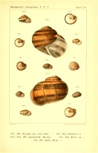 n376_w1150