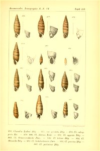n404_w1150