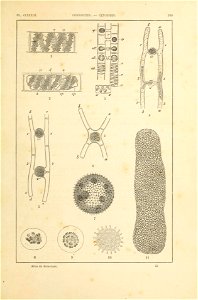 n404_w1150
