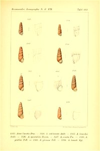 n462_w1150