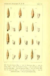 n402_w1150