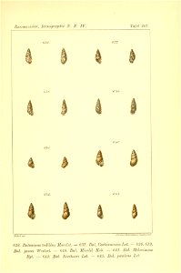 n528_w1150