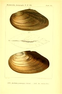 n488_w1150