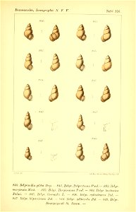 n368_w1150