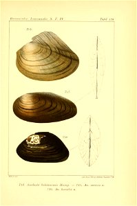 n554_w1150