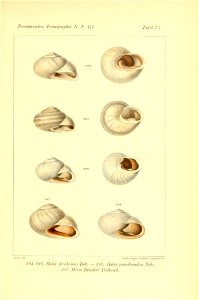 n464_w1150