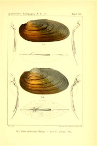 n552_w1150
