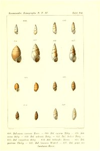 n522_w1150