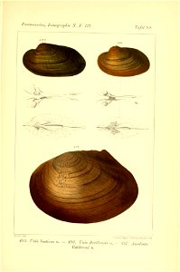 n492_w1150