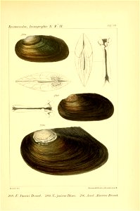 n422_w1150