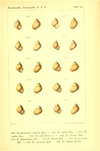 n364_w1150