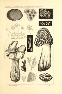 n412_w1150