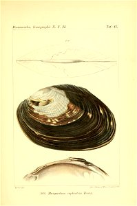 n404_w1150