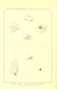 n615_w1150