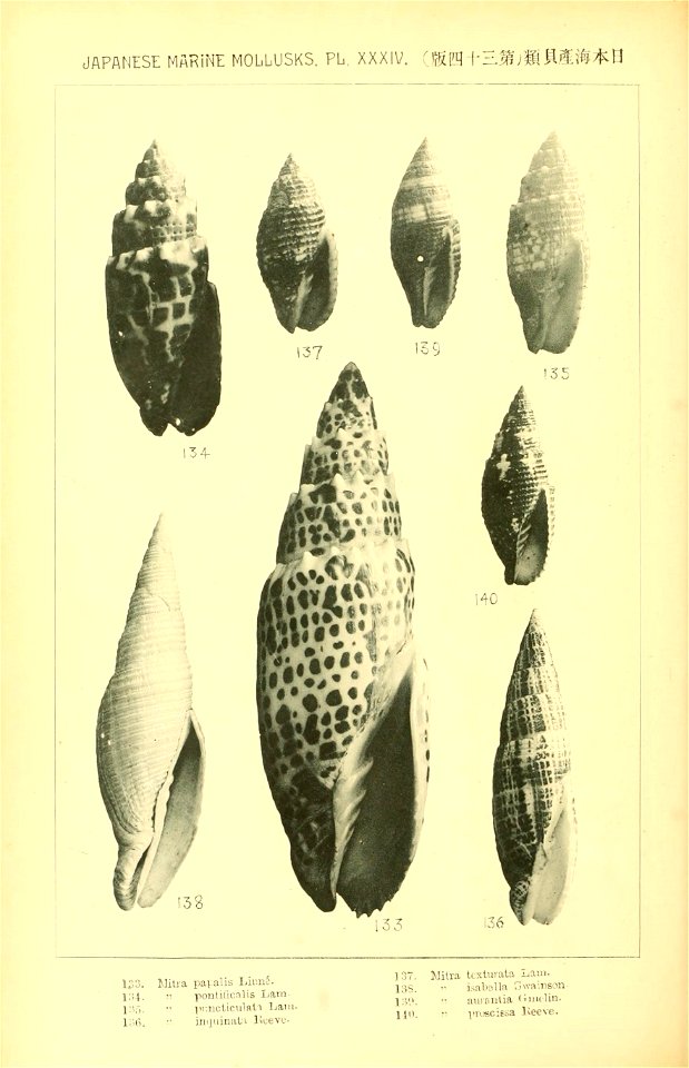 n395_w1150