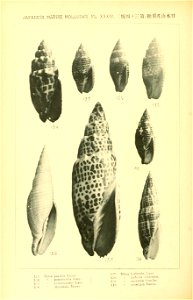 n395_w1150