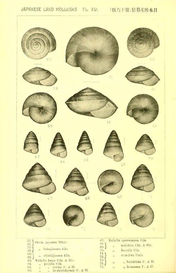 n281_w1150