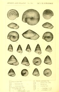 n281_w1150