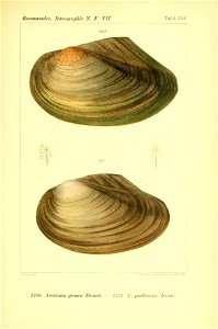 n482_w1150