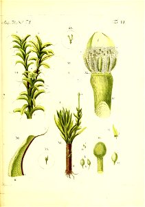 n154_w1150