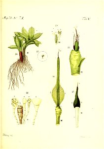 n152_w1150