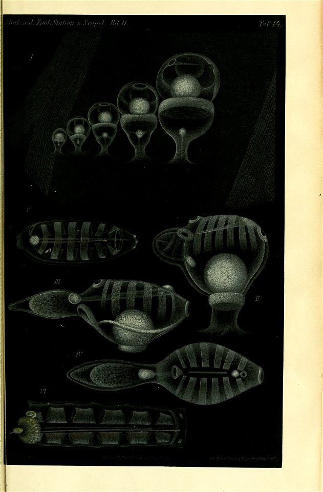 n50_w1150