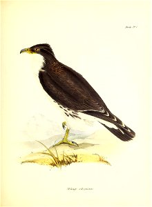 n180_w1150