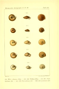n536_w1150
