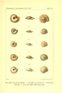 n506_w1150