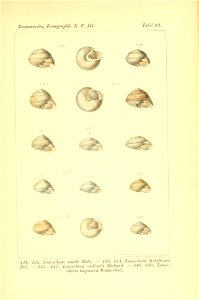 n476_w1150