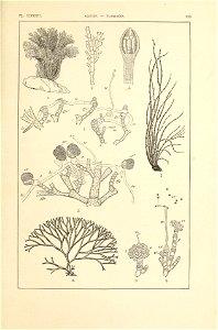 n394_w1150