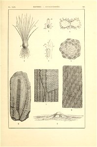 n368_w1150