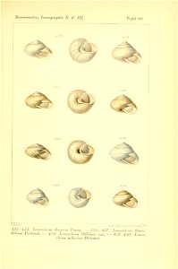 n474_w1150