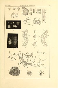 n406_w1150