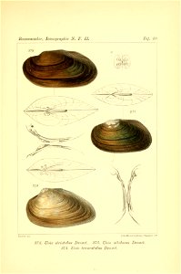 n412_w1150