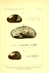 n376_w1150