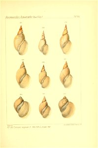 n358_w1150