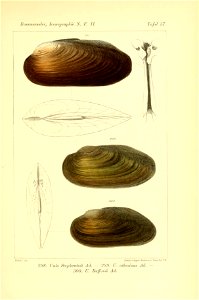 n428_w1150