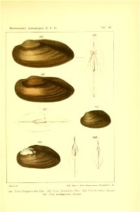n392_w1150