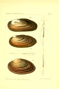 n374_w1150