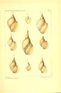 n356_w1150