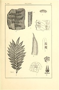 n378_w1150