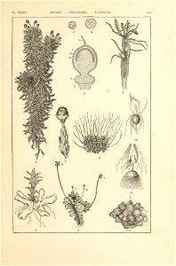 n390_w1150