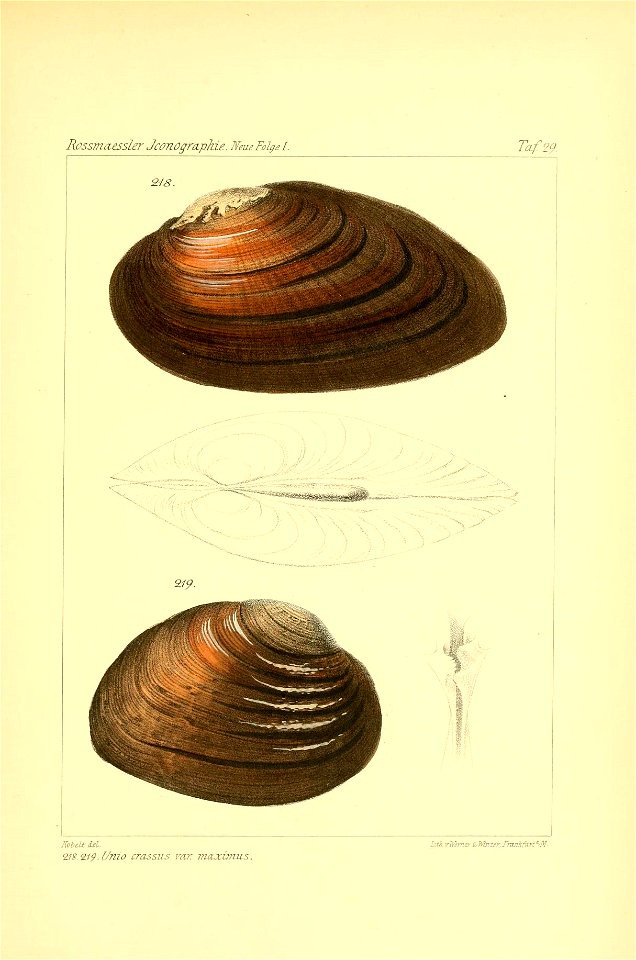 n372_w1150