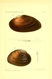 n372_w1150