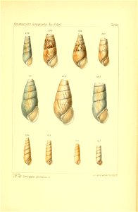 n354_w1150