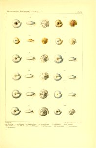 n322_w1150