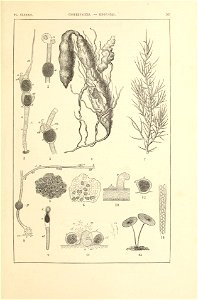 n402_w1150